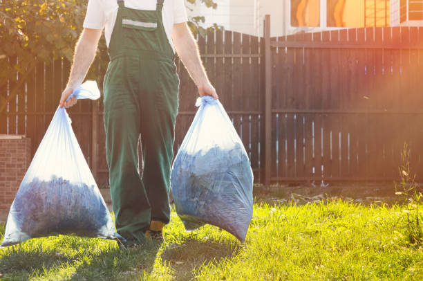 Best Scrap Metal Removal  in Dewitt, MI